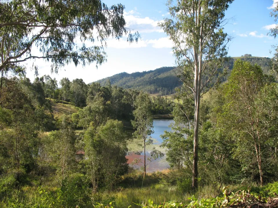 Workshops and Events